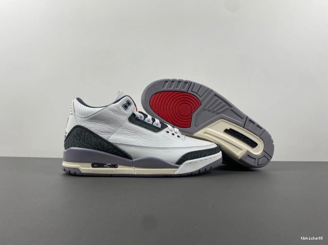 Reps TBkick Jordan 3 Air CT8532-106 Cement Grey 0811